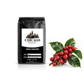 Single Origin Favorites Sample Pack